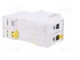 SCHNEIDER ELECTRIC Interruptor magnetotérmico iC60N 50A 2 polos