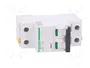 SCHNEIDER ELECTRIC Interruptor magnetotérmico iC60N 50A 2 polos