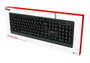 Trust Teclado Español Primo USB Teclas Silenciosas Negro 23883