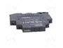 SCHNEIDER ELECTRIC Zelio Relay Relé de estado sólido 6A 1-100VDC