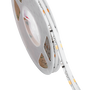 Tira LED COB Digital 2811 RGBIC 24V 5m 19W/m IP20