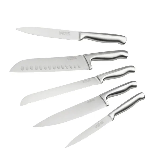 Nirosta Juego de 5 Cuchillos de Cocina Profesionales FAC3176239998085 Acero Inoxidable 24 a 33.5 cm