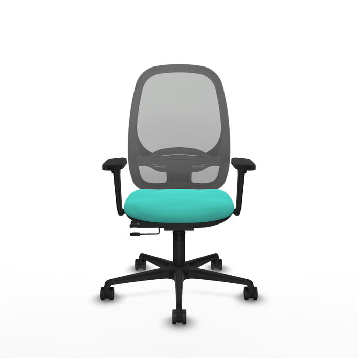 PIQUERAS Y CRESPO Silla de oficina Cilanco con mecanismo Sincro/Traslack, Turquesa y Gris PIQUERAS Y CRESPO Silla de oficina Cilanco con mecanismo Sincro/Traslack, Turquesa y Gris