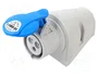 SEZ DK IZN 1632 Conector de alimentación AC trifásico hembra 16A 230V