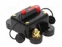 4CARMEDIA Fusible Automático de Coche 250A Retardado