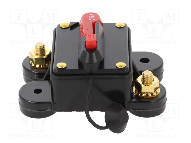 4CARMEDIA Fusible Automático de Coche 250A Retardado 4CARMEDIA Fusible Automático de Coche 250A Retardado