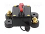 4CARMEDIA Fusible Automático de Coche 250A Retardado