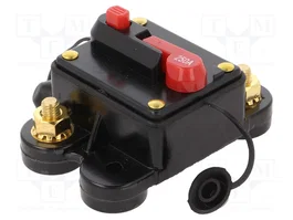 4CARMEDIA Fusible Automático de Coche 250A Retardado