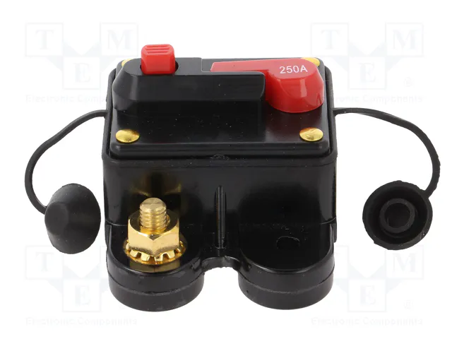 4CARMEDIA Fusible Automático de Coche 250A Retardado 4CARMEDIA Fusible Automático de Coche 250A Retardado