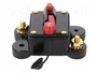 4CARMEDIA Fusible Automático de Coche 250A Retardado