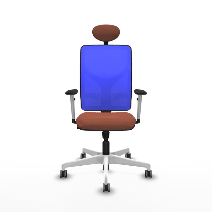 PIQUERAS Y CRESPO Silla de oficina Motilla con mecanismo Sincro, Marrón y Azul PIQUERAS Y CRESPO Silla de oficina Motilla con mecanismo Sincro, Marrón y Azul