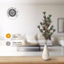 GSC Evolution Rama decorativa LED de hojas de pino, piñas y bayas rojas, 0,75 m, luz cálida