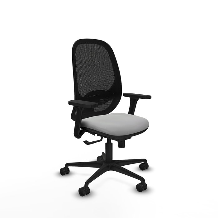 PIQUERAS Y CRESPO Silla de oficina Cilanco con Mecanismo Sincro, Gris claro y Negro PIQUERAS Y CRESPO Silla de oficina Cilanco con Mecanismo Sincro, Gris claro y Negro