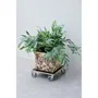 Nature Carrito para plantas 446407 38x38 cm madera negra