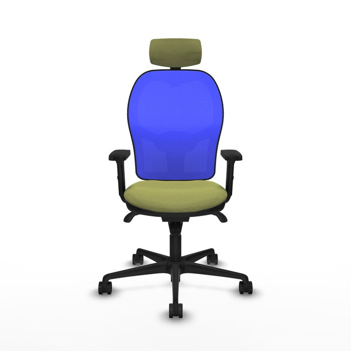 PIQUERAS Y CRESPO Silla de oficina Jorquera con mecanismo Sincro, Verde oliva y Azul PIQUERAS Y CRESPO Silla de oficina Jorquera con mecanismo Sincro, Verde oliva y Azul