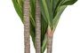 DKD Home Decor Planta Dracaena Verde PE 80x80x159 cm