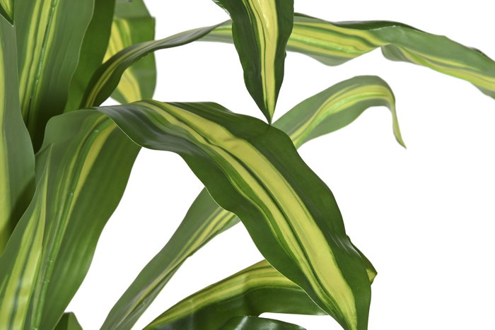 DKD Home Decor Planta Dracaena Verde PE 80x80x159 cm