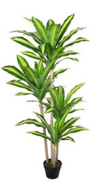 DKD Home Decor Planta Dracaena Verde PE 80x80x159 cm