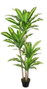 DKD Home Decor Planta Dracaena Verde PE 80x80x159 cm