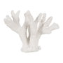 Ixia Figura Coral Blanco Resina Decoración 27 X 15 X 21 cm