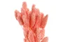 DKD Home Decor Ramo de Flores Secas 4x4x70 60u, 2 Surtidos