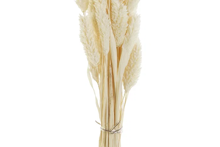 DKD Home Decor Ramo de Flores Secas 4x4x70 60u, 2 Surtidos