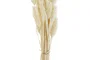 DKD Home Decor Ramo de Flores Secas 4x4x70 60u, 2 Surtidos