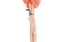 DKD Home Decor Ramo de Flores Secas 4x4x70 60u, 2 Surtidos