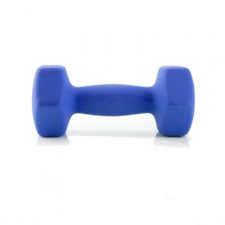 Set 2 Pesas de 4kg Jocca 1564