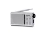 Daewoo Radio portátil DW1037 plata
