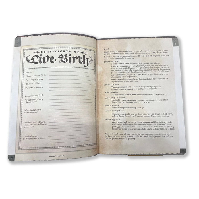 Libreta A5 Player's Journal Sage Green Shield