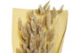 DKD Home Decor Ramo de Flor Seca Cola de Conejo Natural 20x20x76 cm