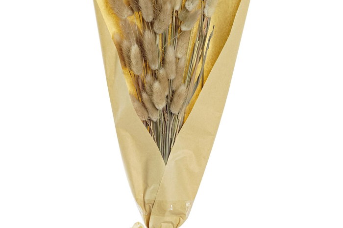 DKD Home Decor Ramo de Flor Seca Cola de Conejo Natural 20x20x76 cm