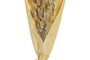 DKD Home Decor Ramo de Flor Seca Cola de Conejo Natural 20x20x76 cm