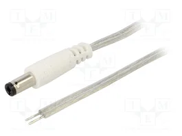 BQ CABLE Cable de alimentación plano DC 5,5/2,5 de 1m