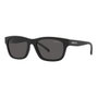 Arnette Gafas de sol AN4284-275887 Negro/Gris