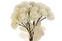 DKD Home Decor Flores EVA Blanco