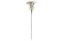 DKD Home Decor Flores EVA Blanco