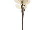 DKD Home Decor Flores EVA Blanco
