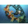 Sealife Sealife Ultra-Wide Angle Dome Lens SL052 para Micro Series y RM-4K