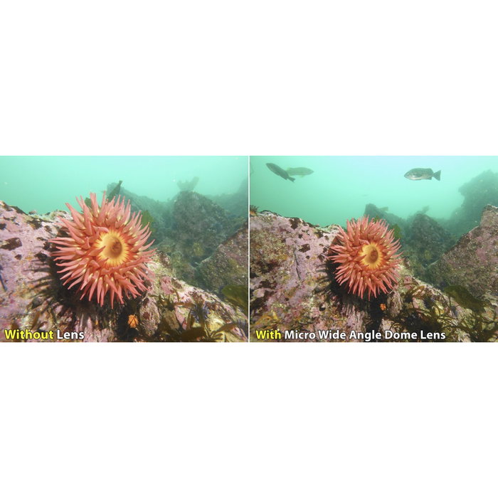 Sealife Sealife Ultra-Wide Angle Dome Lens SL052 para Micro Series y RM-4K