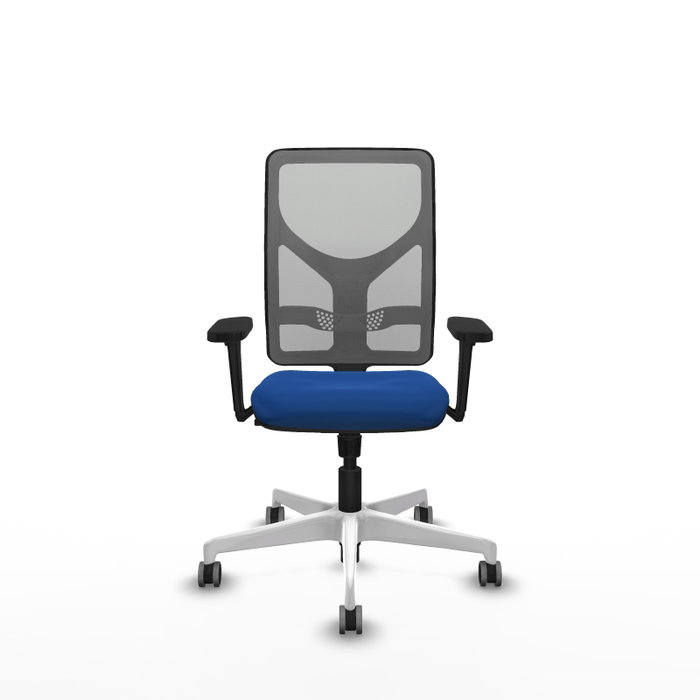 PIQUERAS Y CRESPO Silla de oficina Motilla con mecanismo Sincro, Azul y Gris PIQUERAS Y CRESPO Silla de oficina Motilla con mecanismo Sincro, Azul y Gris