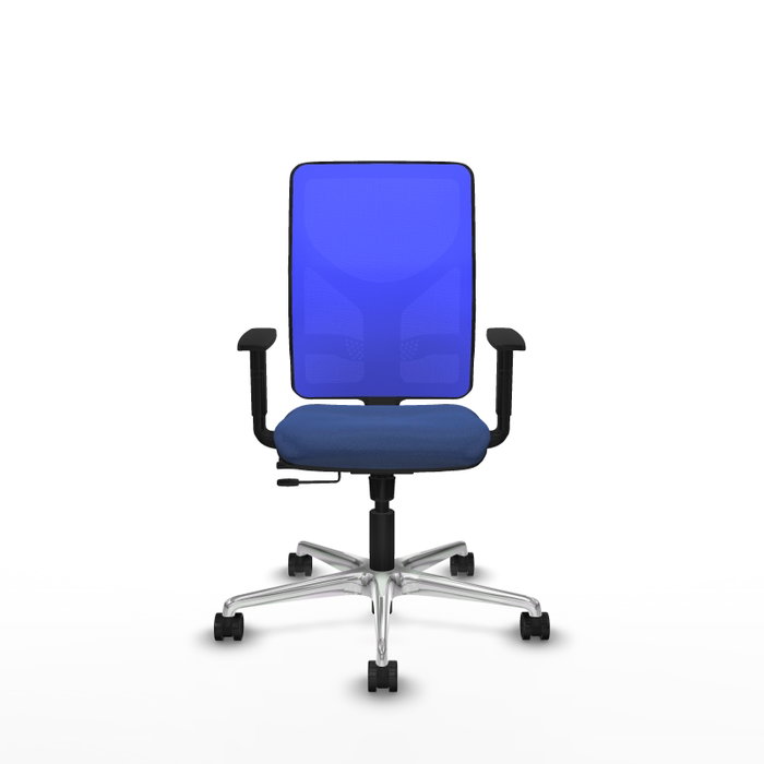PIQUERAS Y CRESPO Silla de oficina Motilla con mecanismo Sincro/Traslack, Azul marino y Azul PIQUERAS Y CRESPO Silla de oficina Motilla con mecanismo Sincro/Traslack, Azul marino y Azul