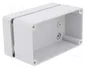 ELEKTRO-PLAST NASIELSK Carcasa Universal INDUSTRIAL Gris IP65