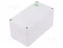 ELEKTRO-PLAST NASIELSK Carcasa Universal INDUSTRIAL Gris IP65