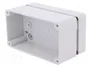 ELEKTRO-PLAST NASIELSK Carcasa Universal INDUSTRIAL Gris IP65