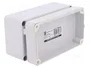 ELEKTRO-PLAST NASIELSK Carcasa Universal INDUSTRIAL Gris IP65