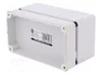ELEKTRO-PLAST NASIELSK Carcasa Universal INDUSTRIAL Gris IP65