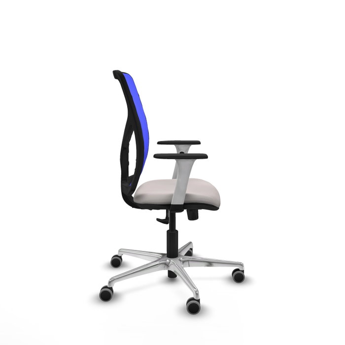 PIQUERAS Y CRESPO Silla de oficina Motilla con mecanismo Sincro, Blanco y Azul PIQUERAS Y CRESPO Silla de oficina Motilla con mecanismo Sincro, Blanco y Azul
