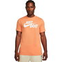 Camiseta de Manga Corta Hombre Nike 54